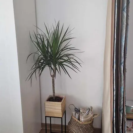 Apartman студио тони 2 с панорамна тераса и морска гледка Várna